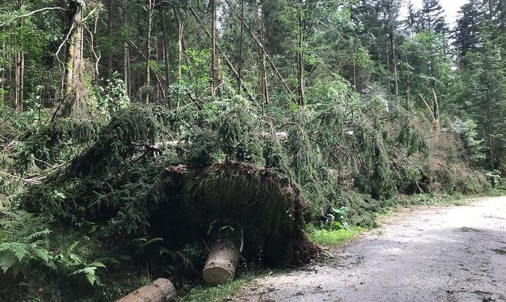 Facebook Post 10158316076932901