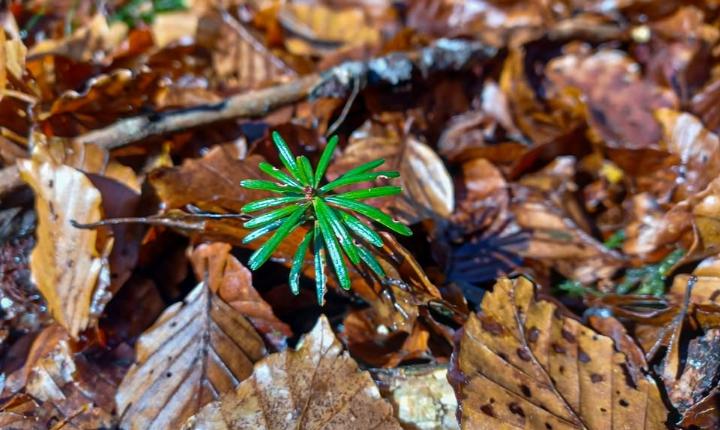 Facebook Post 1232949122213175