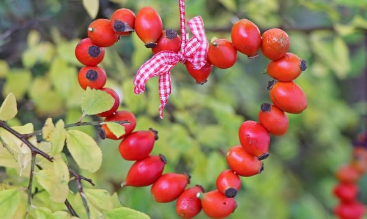 Facebook Post 1236739988500755