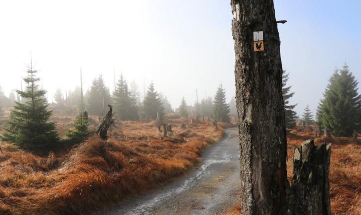 Facebook Post 1238085885032832