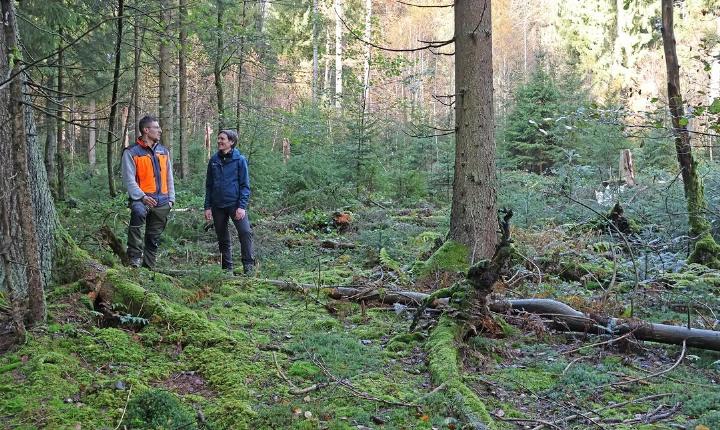 Facebook Post 1238988358275918