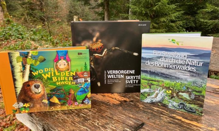 Facebook Post 1245145760993511