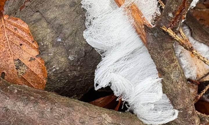 Facebook Post 1248623673979053