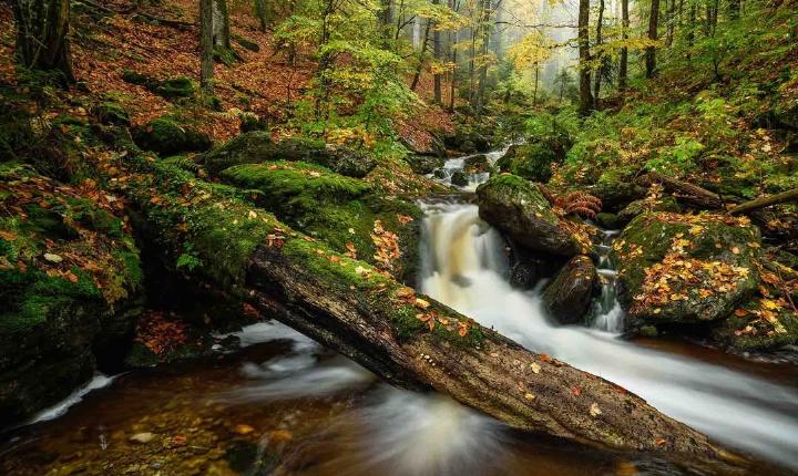 Facebook Post 1249081440599943