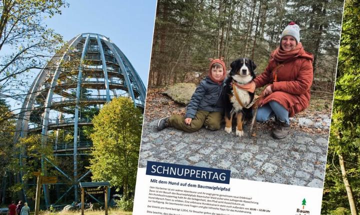 Facebook Post 1249285013912919