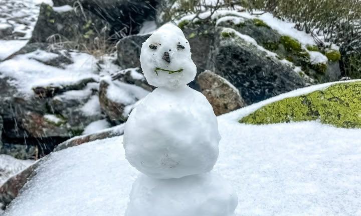 Facebook Post 1249839423857478