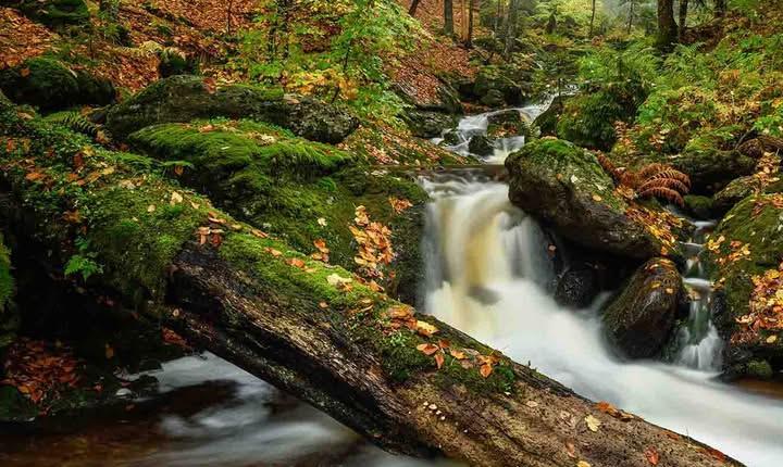 Facebook Post 1250630953778325