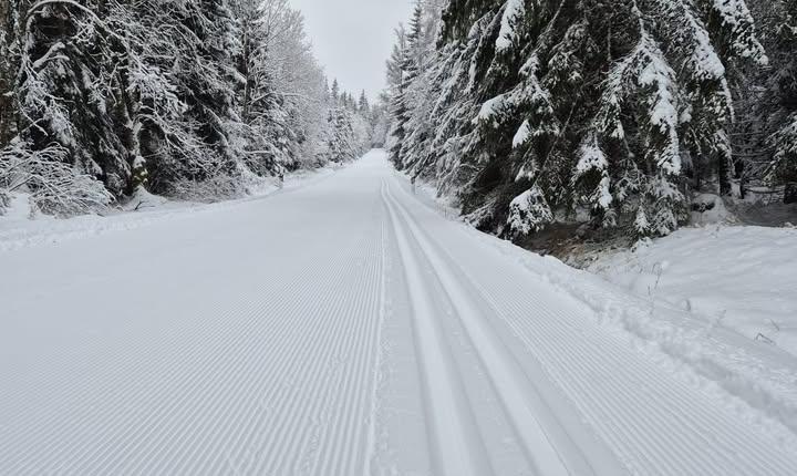 Facebook Post 1256375373203883