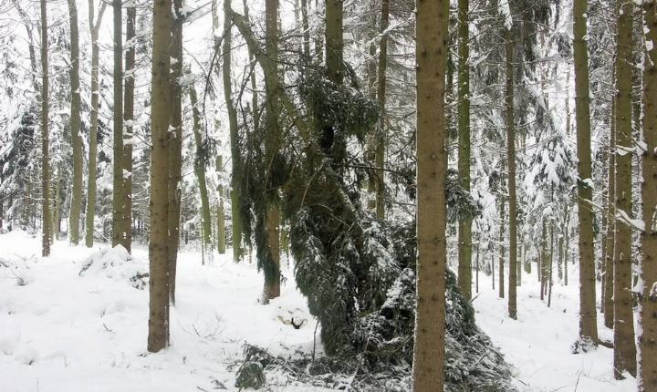 Facebook Post 1256555999852487