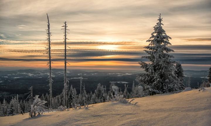 Facebook Post 1256955713145849