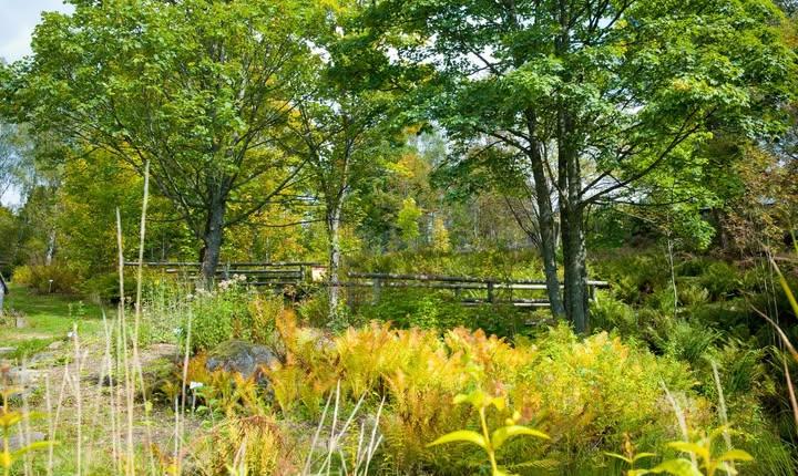 Facebook Post 1257813126393441