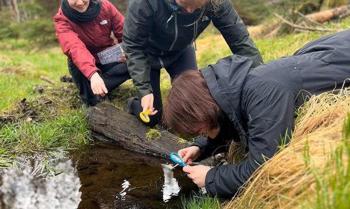 Facebook Post 1258566679651419