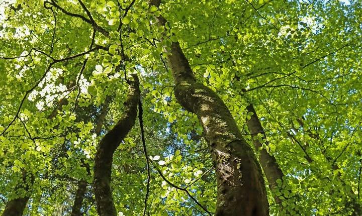 Facebook Post 1260706346104119