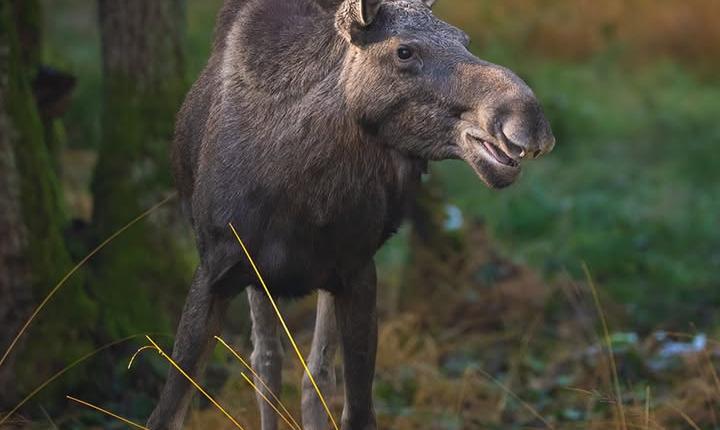 Facebook Post 1262210159287071