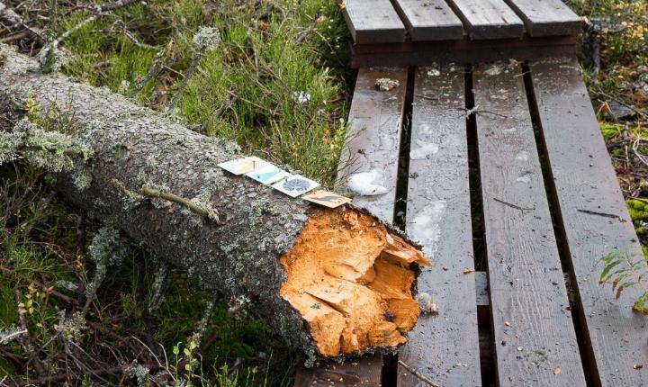 Facebook Post 1276180821223338