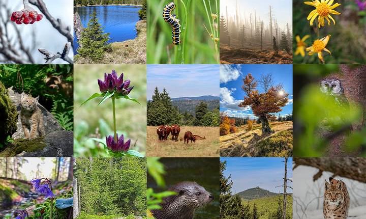 Facebook Post 1277351184439635