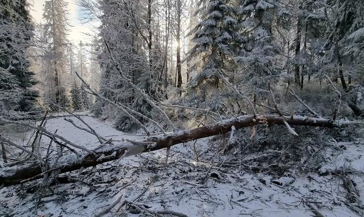 Facebook Post 1278085107699576