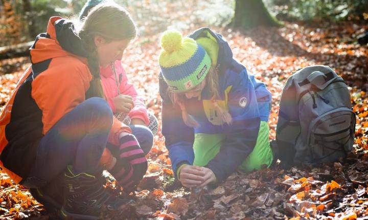 Facebook Post 1278262494348504