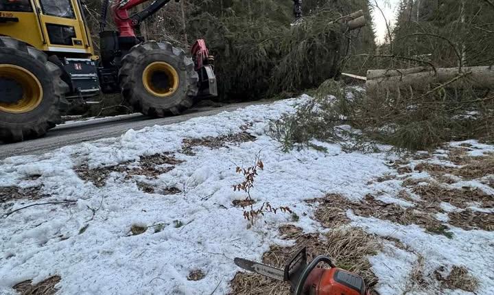 Facebook Post 1278760767632010