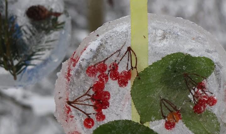 Facebook Post 1283837050457715