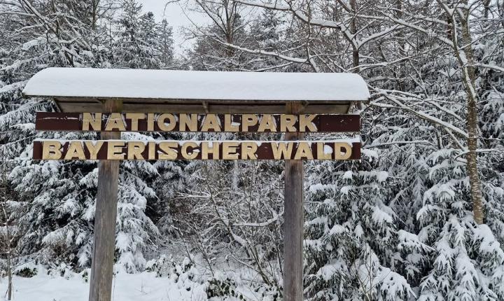 Facebook Post 1284509057057181