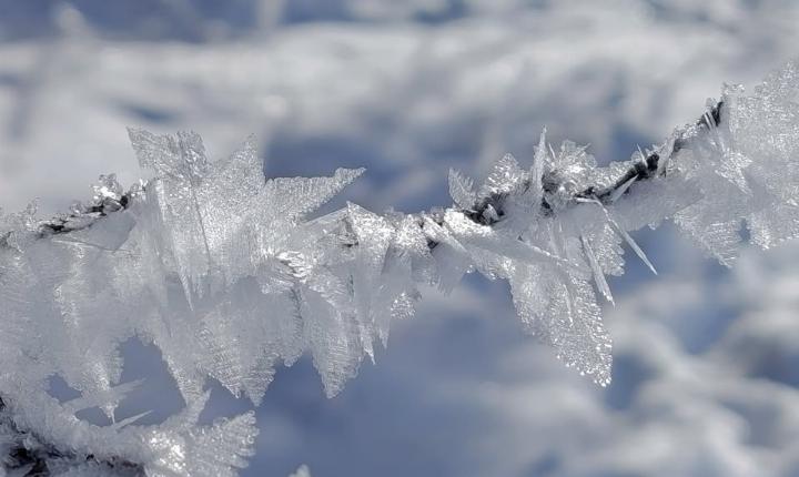 Facebook Post 1287462236761863