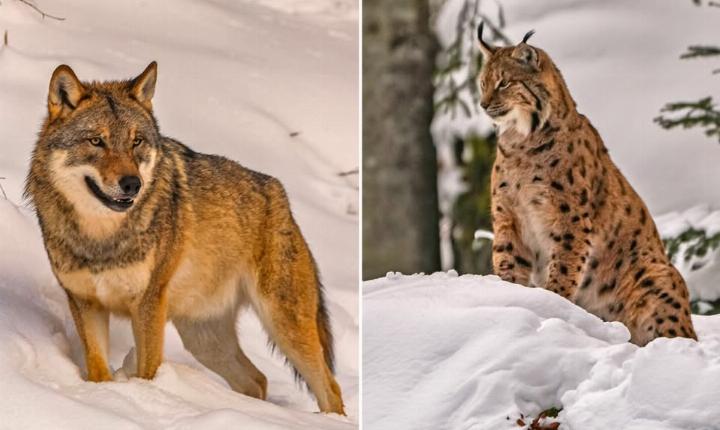 Facebook Post 1287739966734090