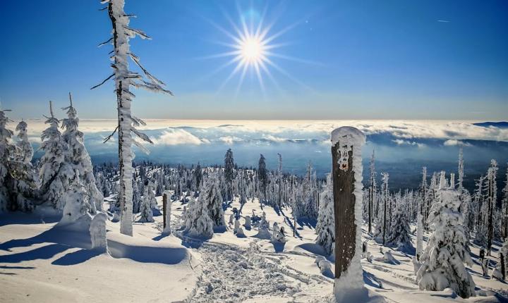 Facebook Post 1291520049689415