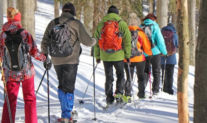 Facebook Post 1293834136124673