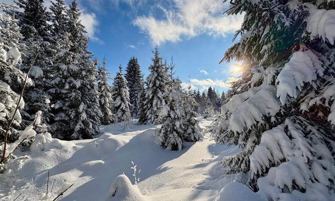 Facebook Post 1295941659247254