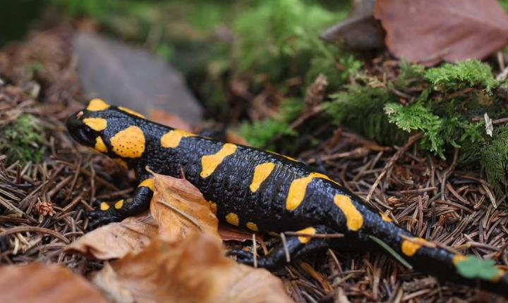 Facebook Post 1297700745738012