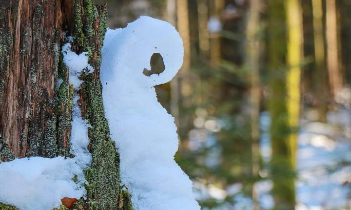 Facebook Post 1299230778918342