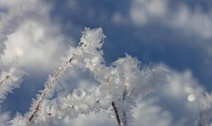 Facebook Post 1307266784781408