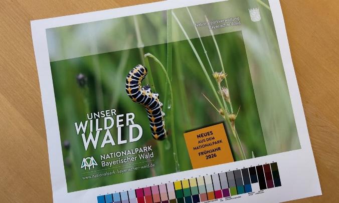 Facebook Post 1309594761215277