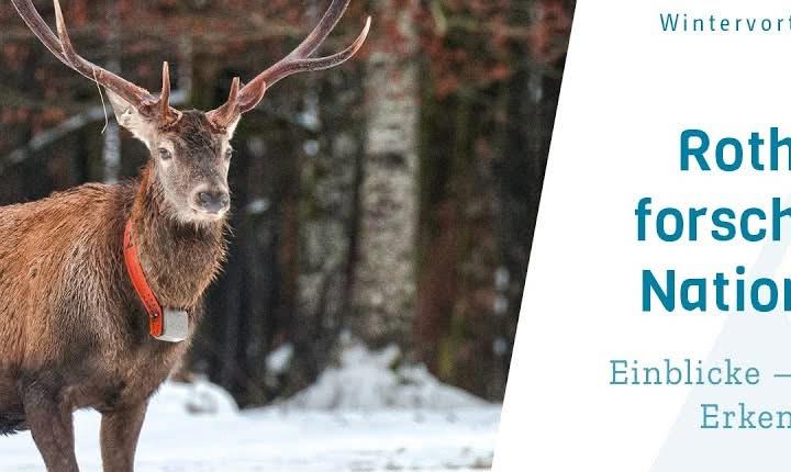 Facebook Post 1309889711185782