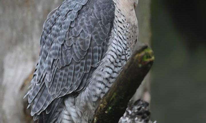 Facebook Post 1312557264252360