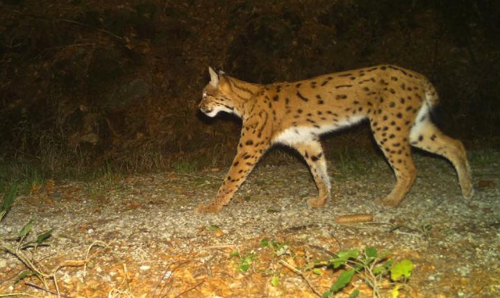 Facebook Post 1314439417397478