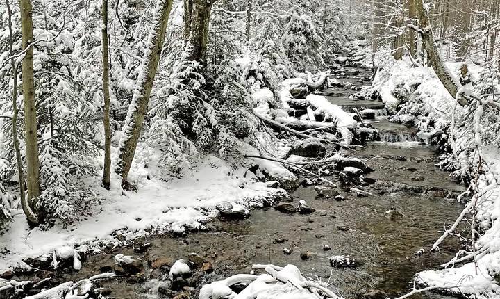 Facebook Post 1315455317295888