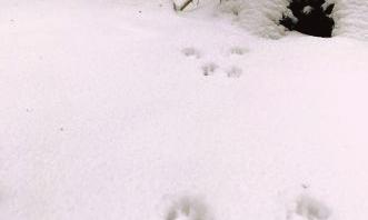 Facebook Post 1320557053452381