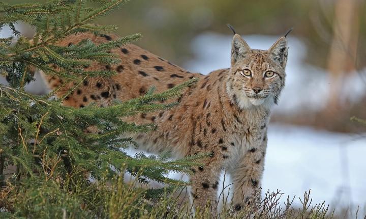 Facebook Post 1320819770092776