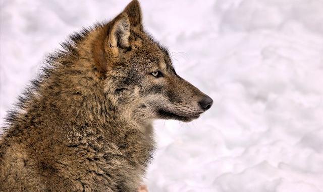 Facebook Post 1321727280002025