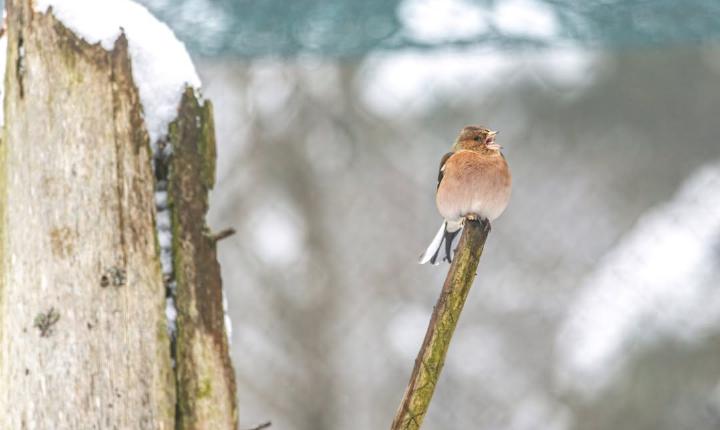 Facebook Post 1324013933106693