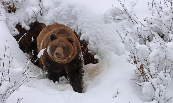 Facebook Post 1325914939583259