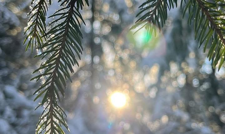 Facebook Post 1327444526096967