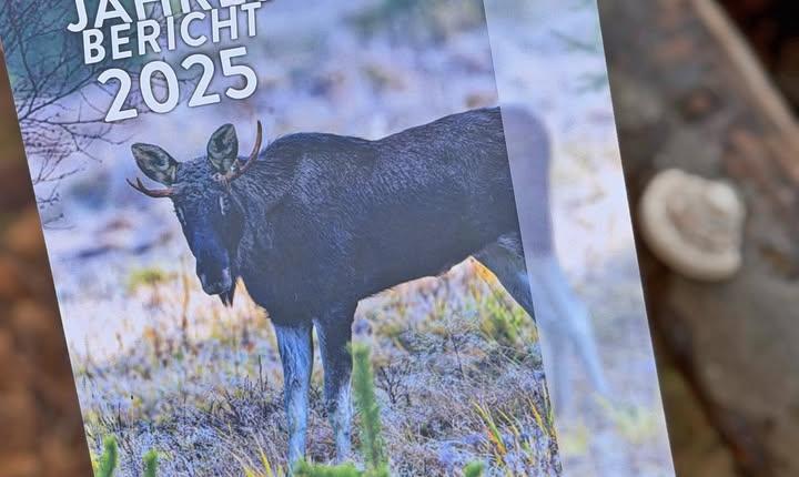 Facebook Post 1328344582673628