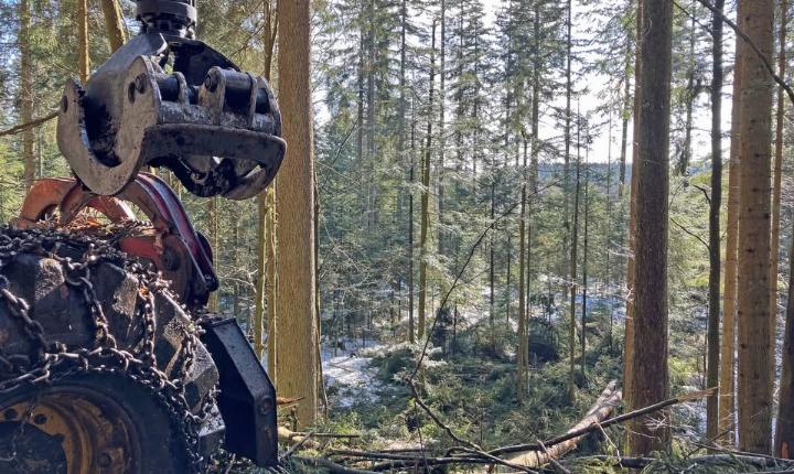 Facebook Post 1335092935332126