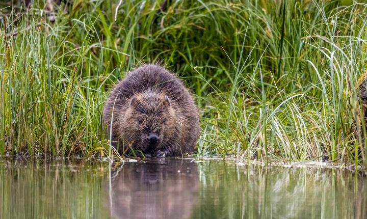 Facebook Post 1335496145291805