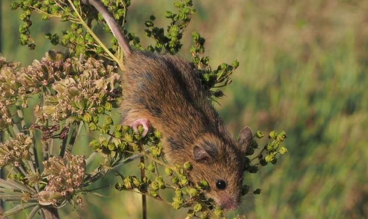 Facebook Post 1337375648437188