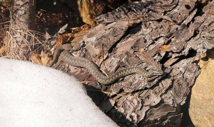 Facebook Post 1338195218355231