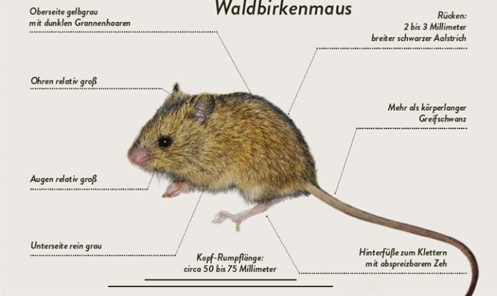 Facebook Post 1341633918011361